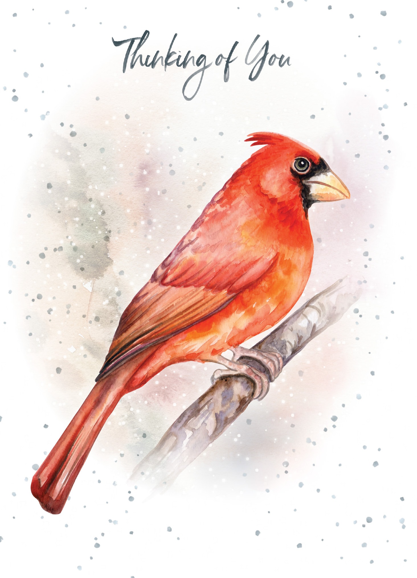 Thinking of You Sympathy Cardinal